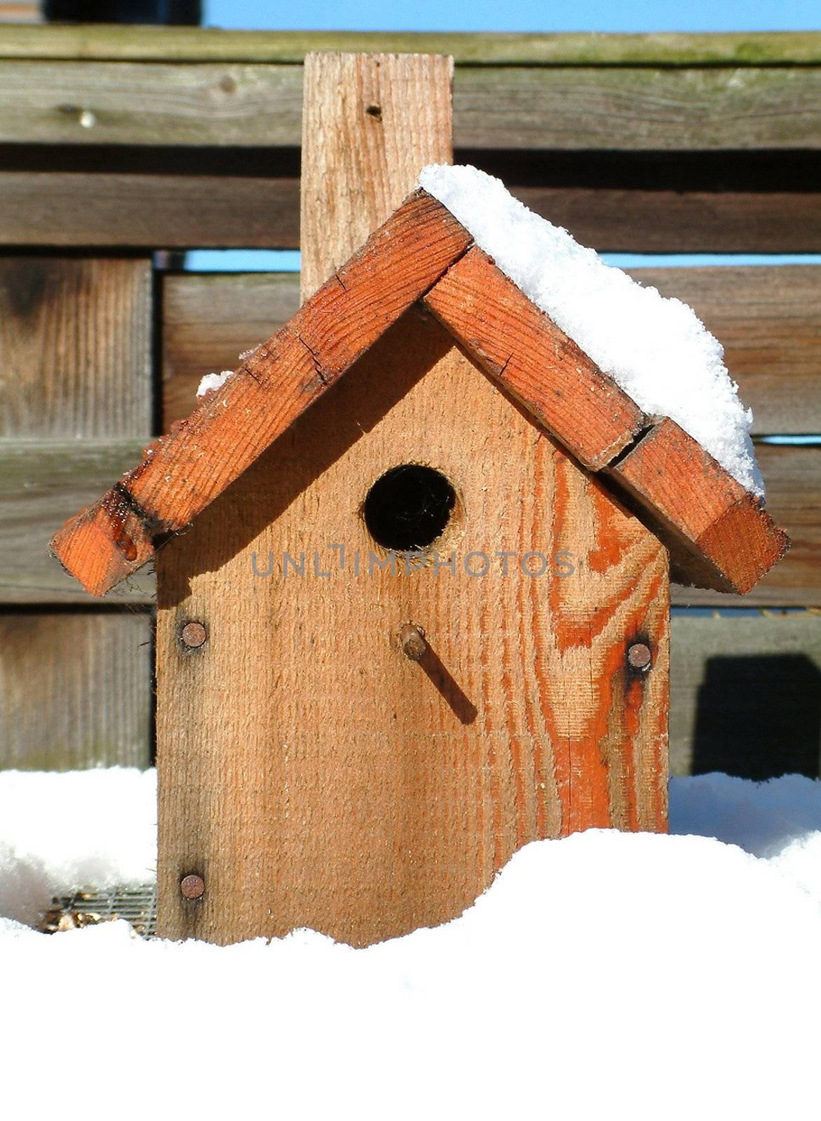 blue tit box for the birds away from the snow