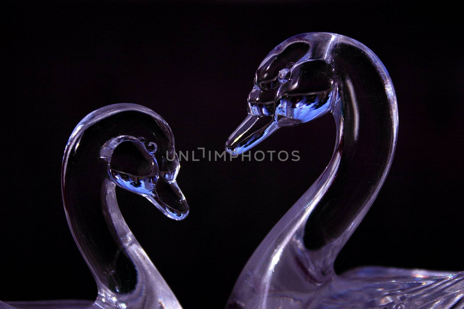 pair of beautiful prurple glass swans