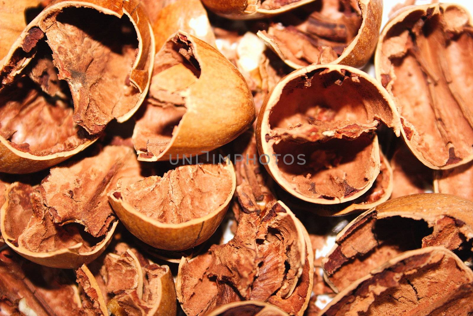 broken nut shells of  pecan nuts