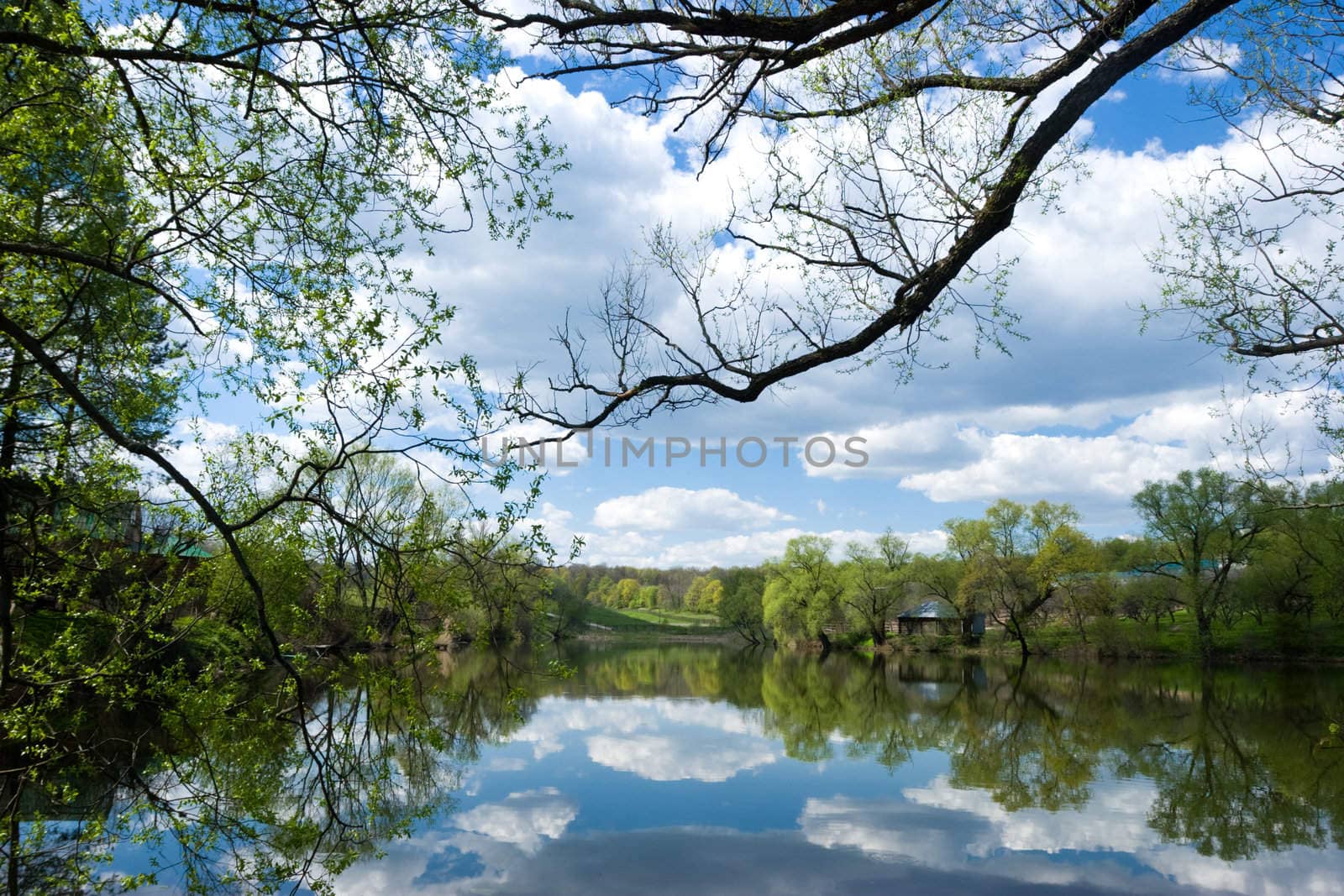 Clouds reflected in a pond at spring