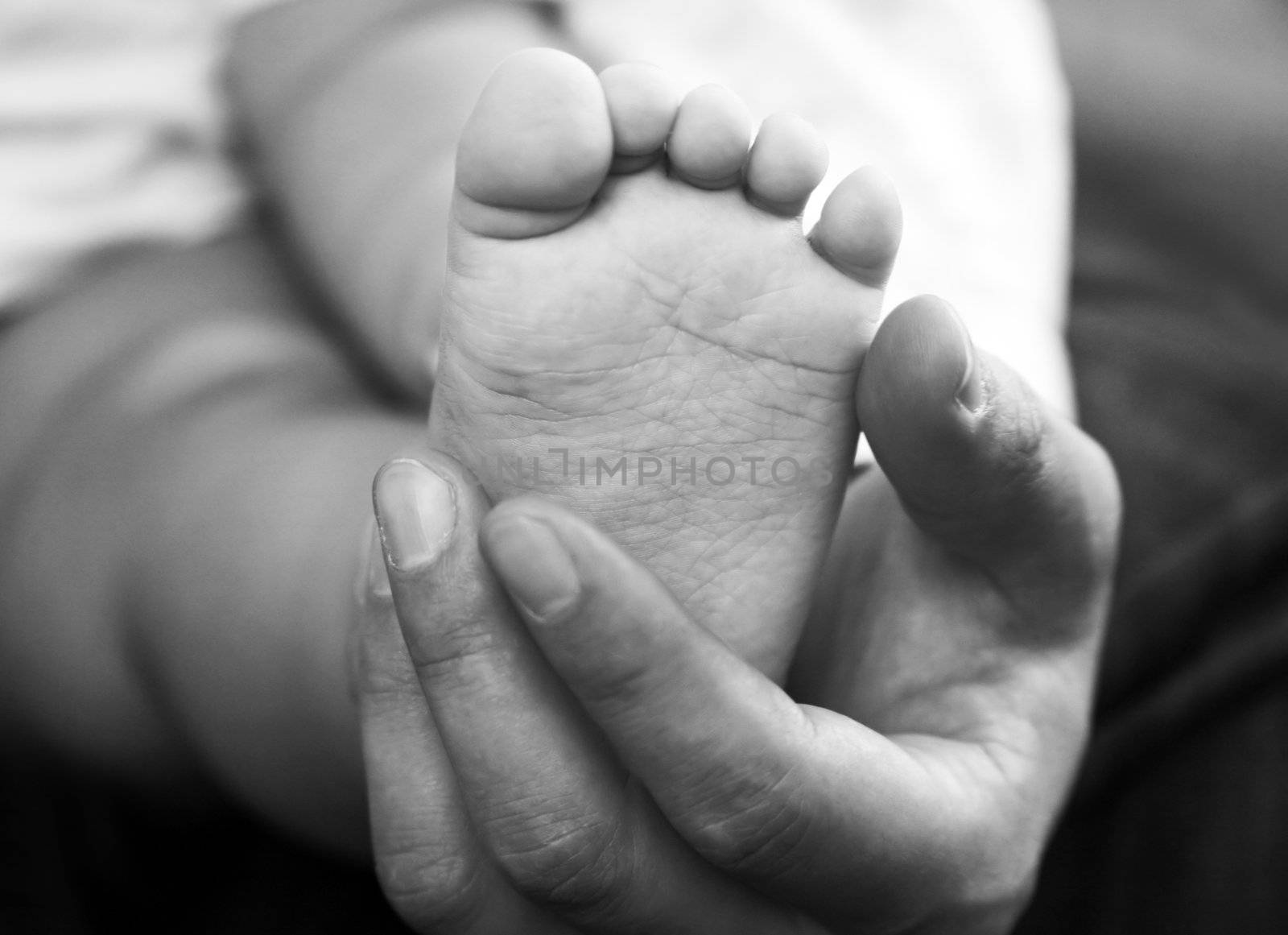 Parents hands hold baby boy legs