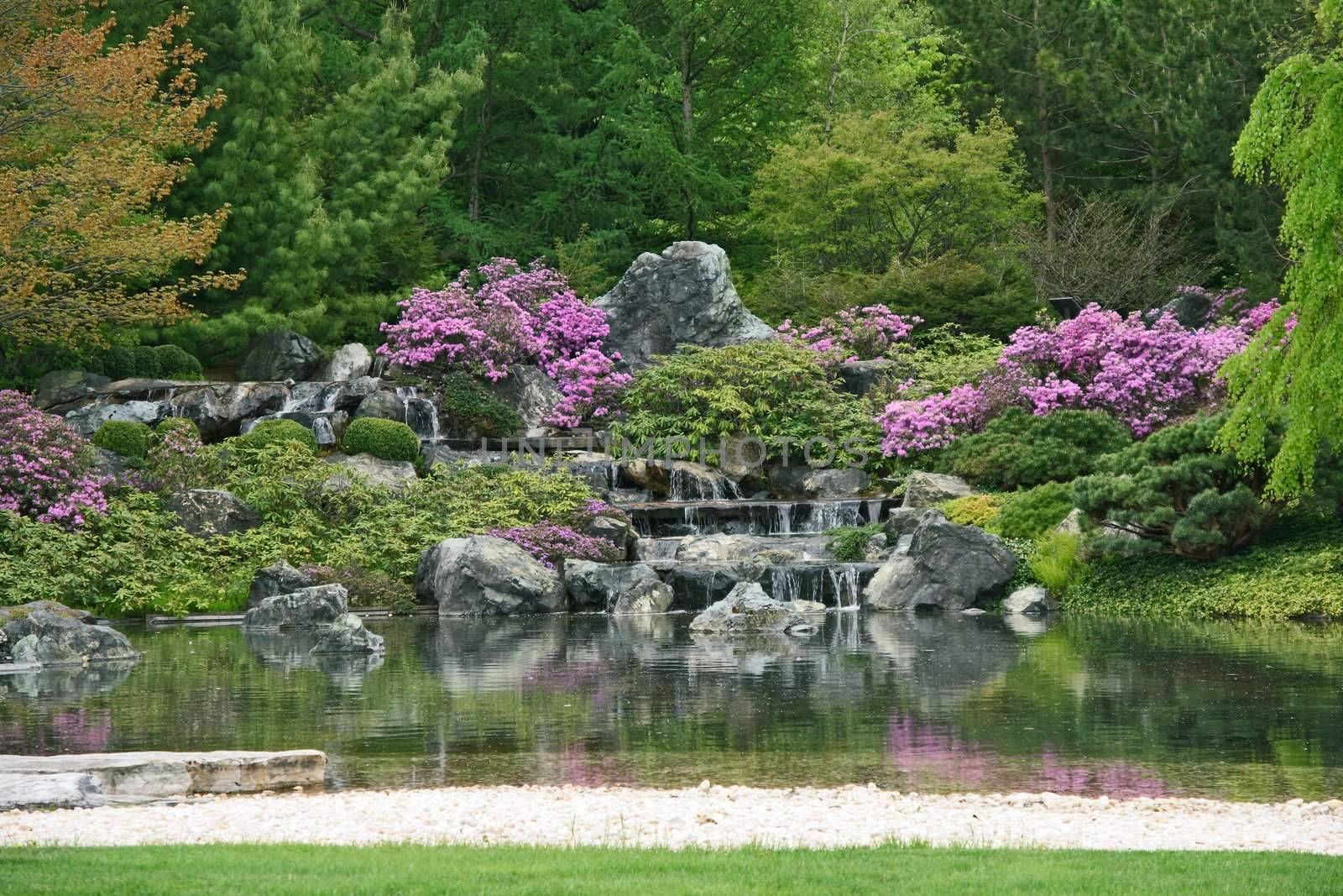 Flowering Japanese garden with pond and water cascades.