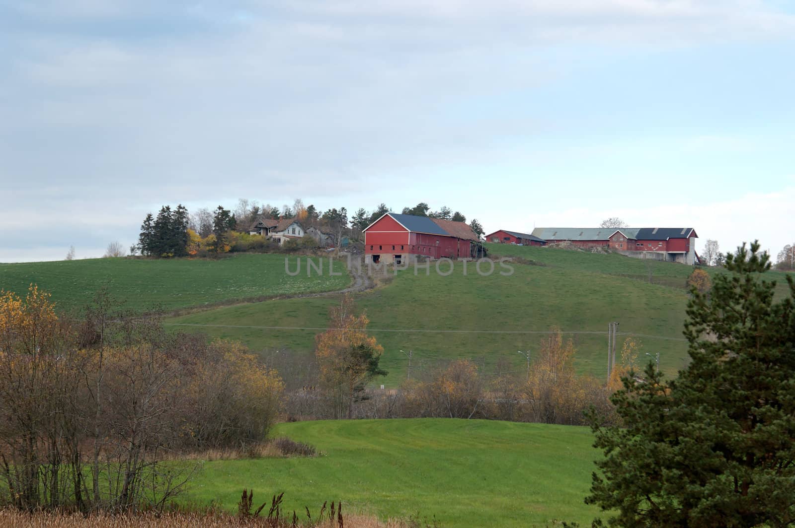 A landscape with a grass field and a farm on top of a hill. The farm house is in a patch of trees, while a traditional Norwegian red barn is proudly visible. In the foreground there are patches of trees in a groove.
