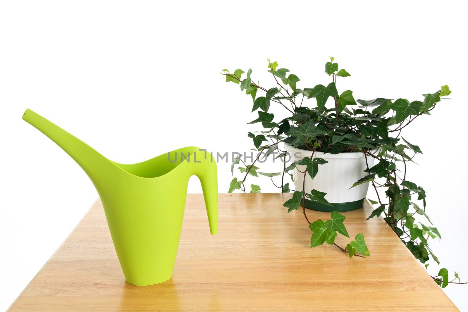 Green watering can and ivy in pot, on white background.