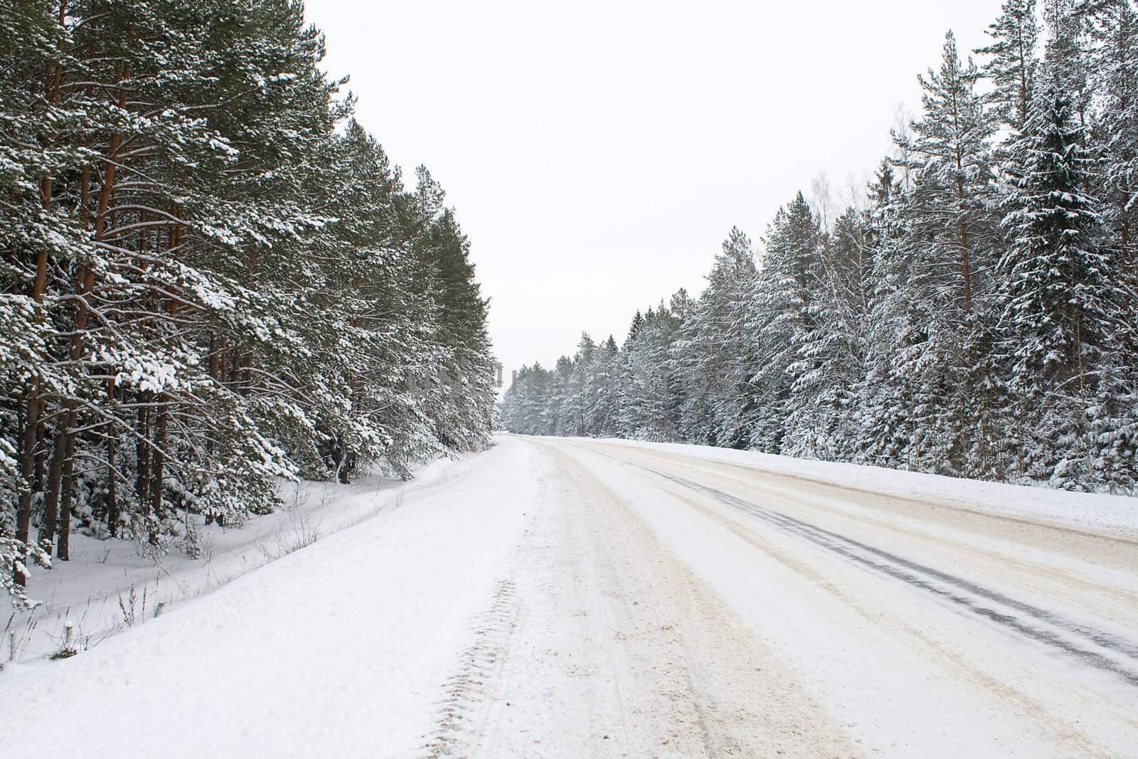 snowy country road by Alekcey
