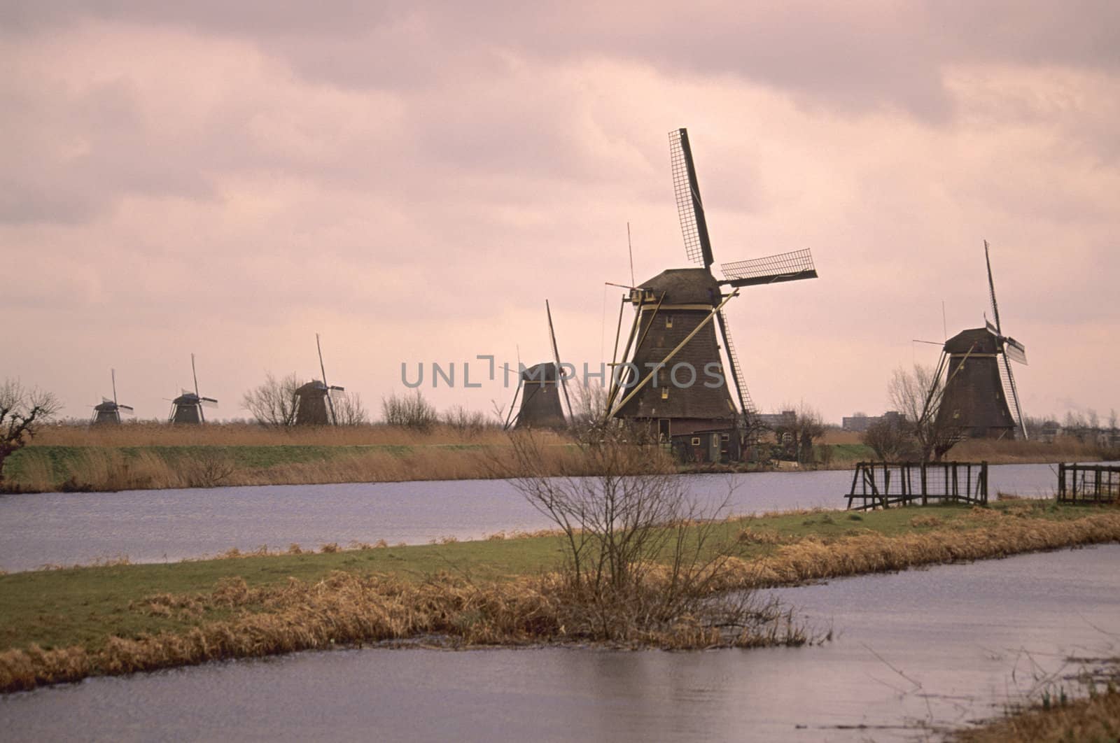 UNESCO Heritage site - Kinderdijk - Elshout in the Netherlands at dawn.