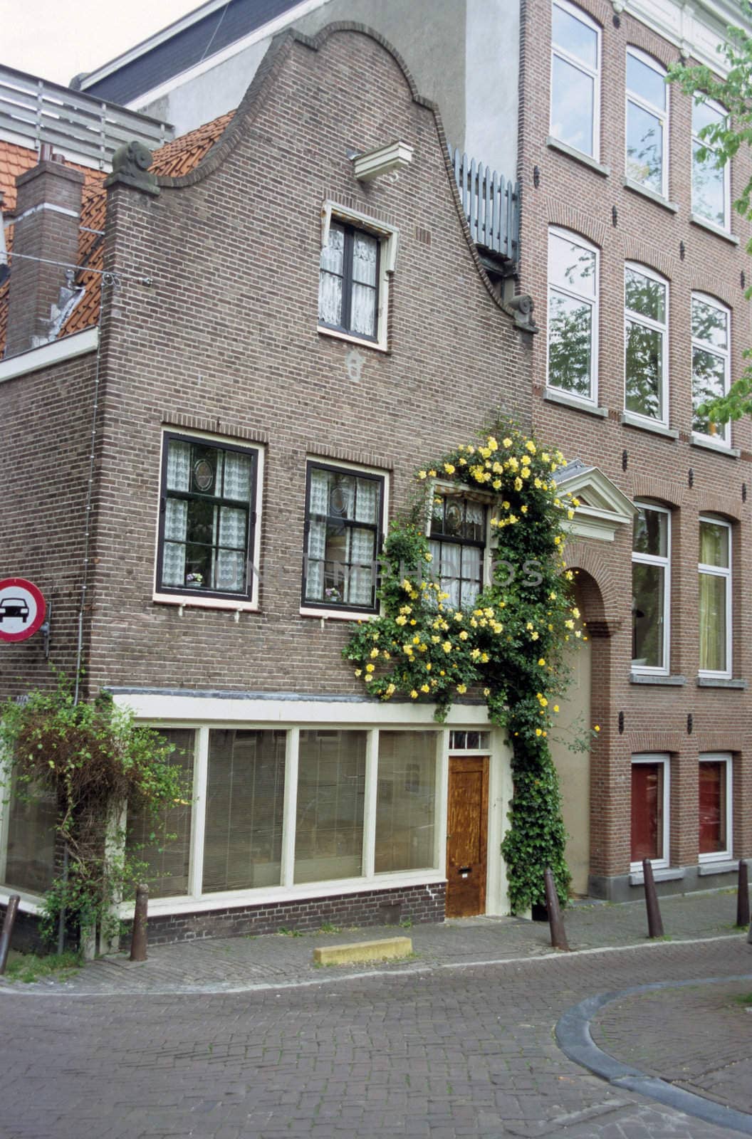 Amsterdam Flowered House by ACMPhoto