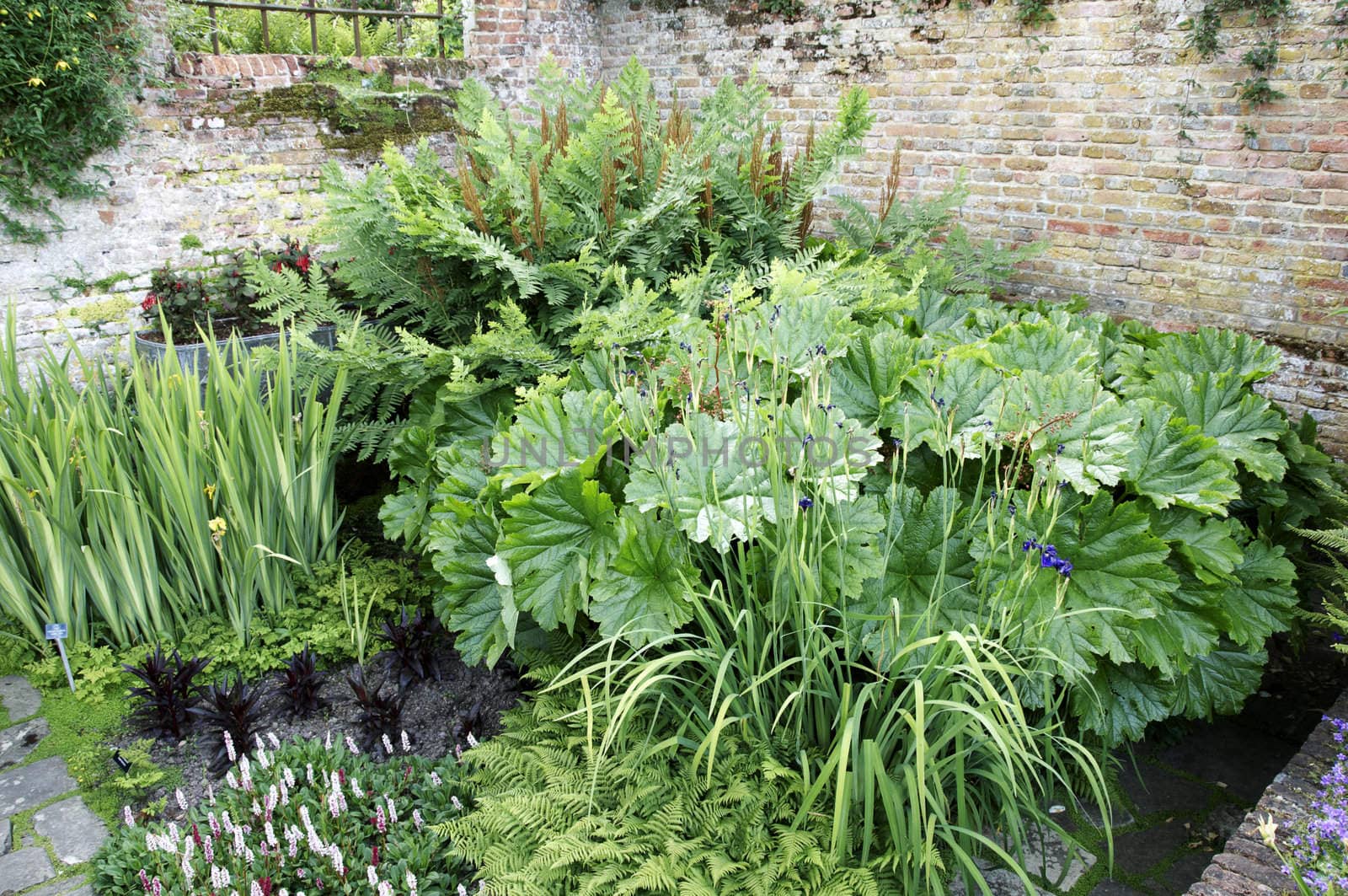 A pond with lush planting by a brick wall