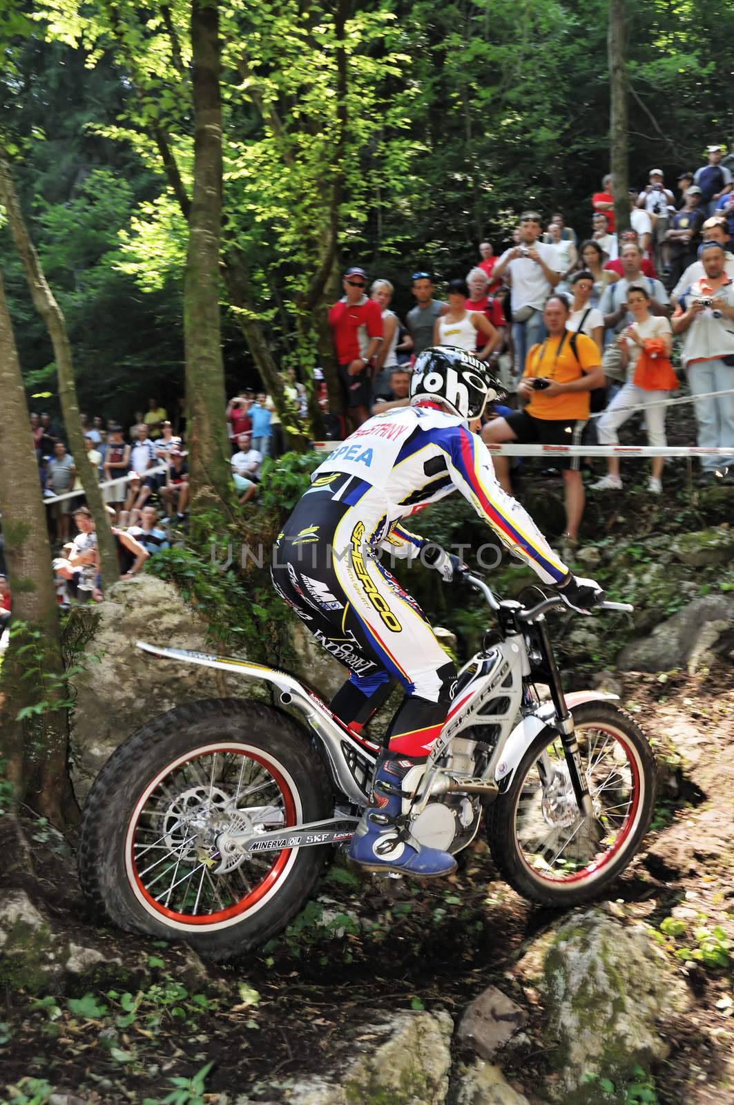 Rider in the wood and spectators in background