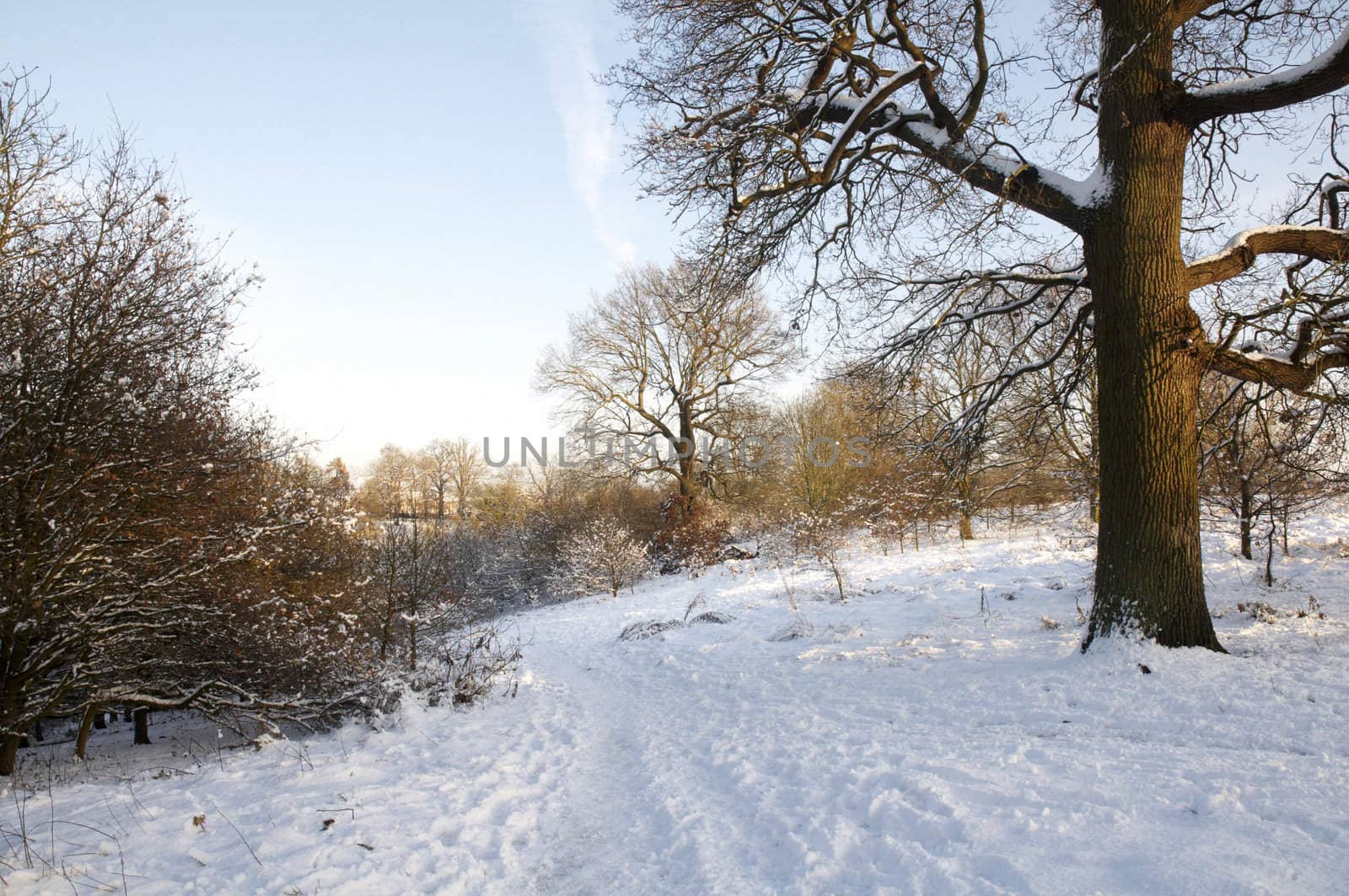 A field covered in snow with trees in the background