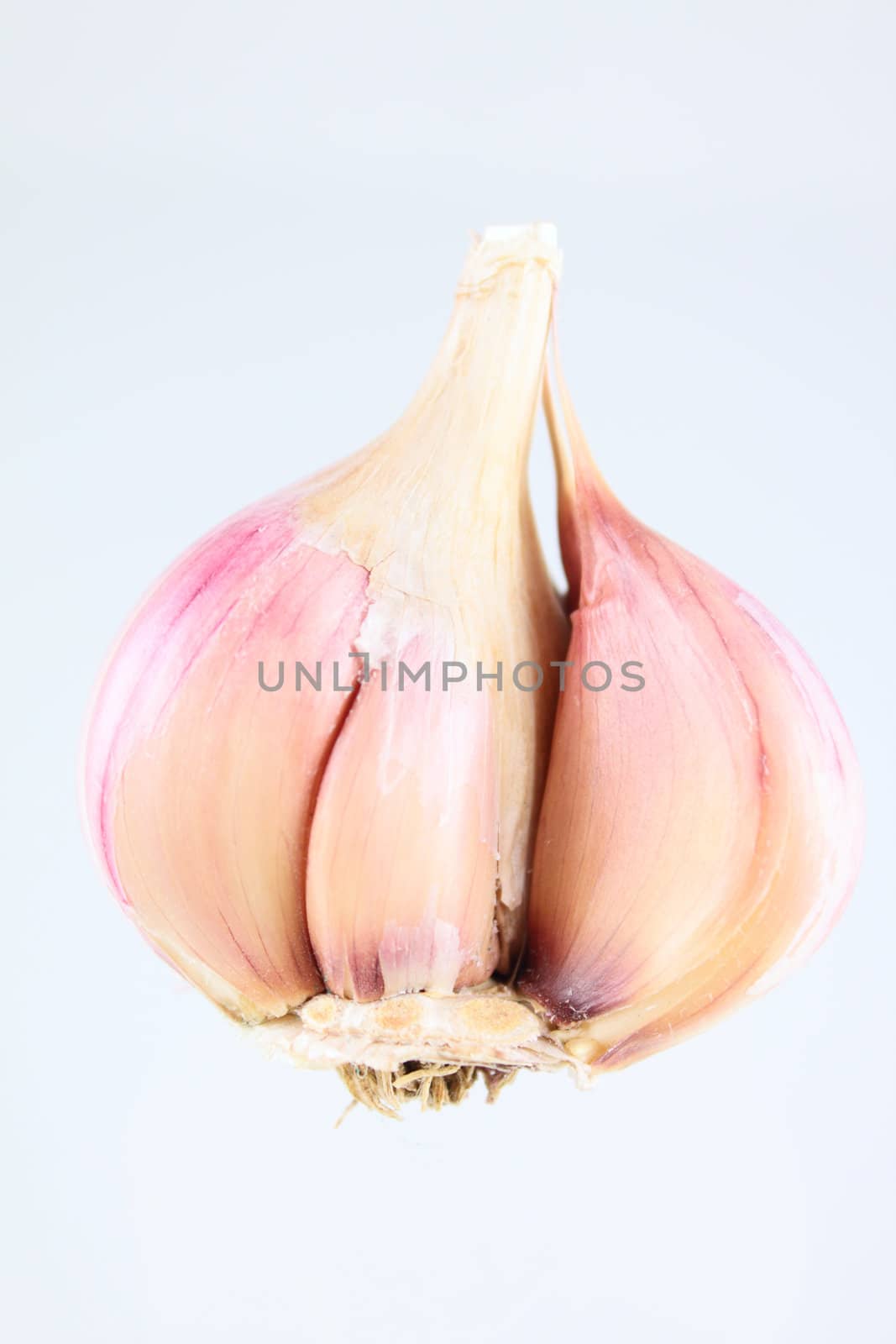 Garlick bulb removed close up on a white background without isolation