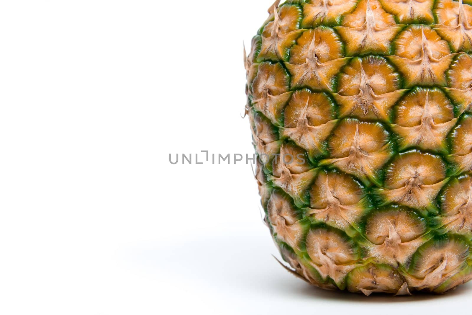 Front view of ananas fruit. Skin close-up