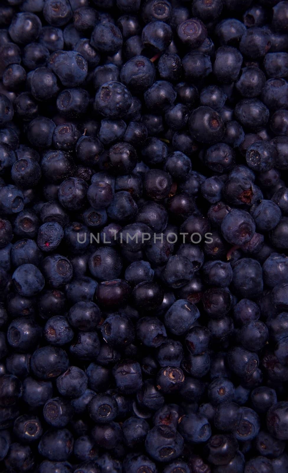 Blueberry background