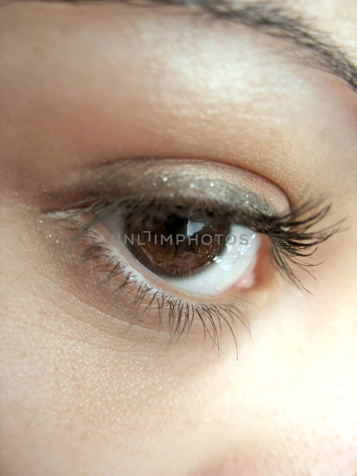 A macro shot of a pretty eye and lashes - shallow depth of field.