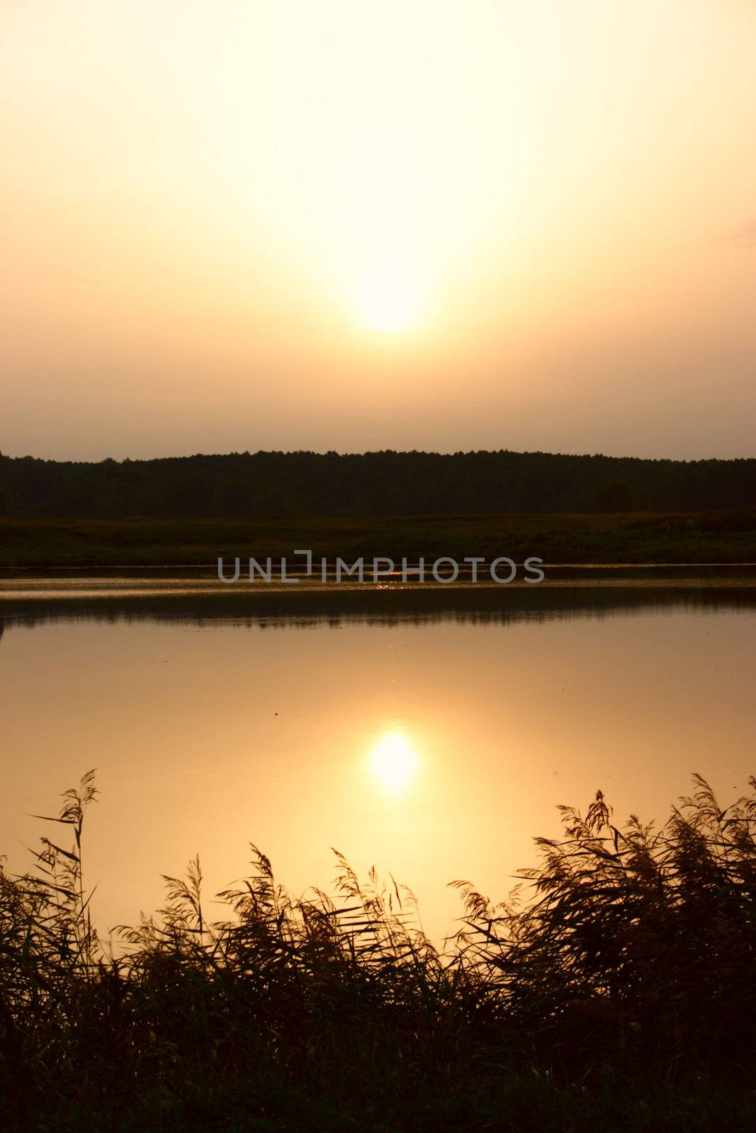 Dawn on lake with the sun reflected in water