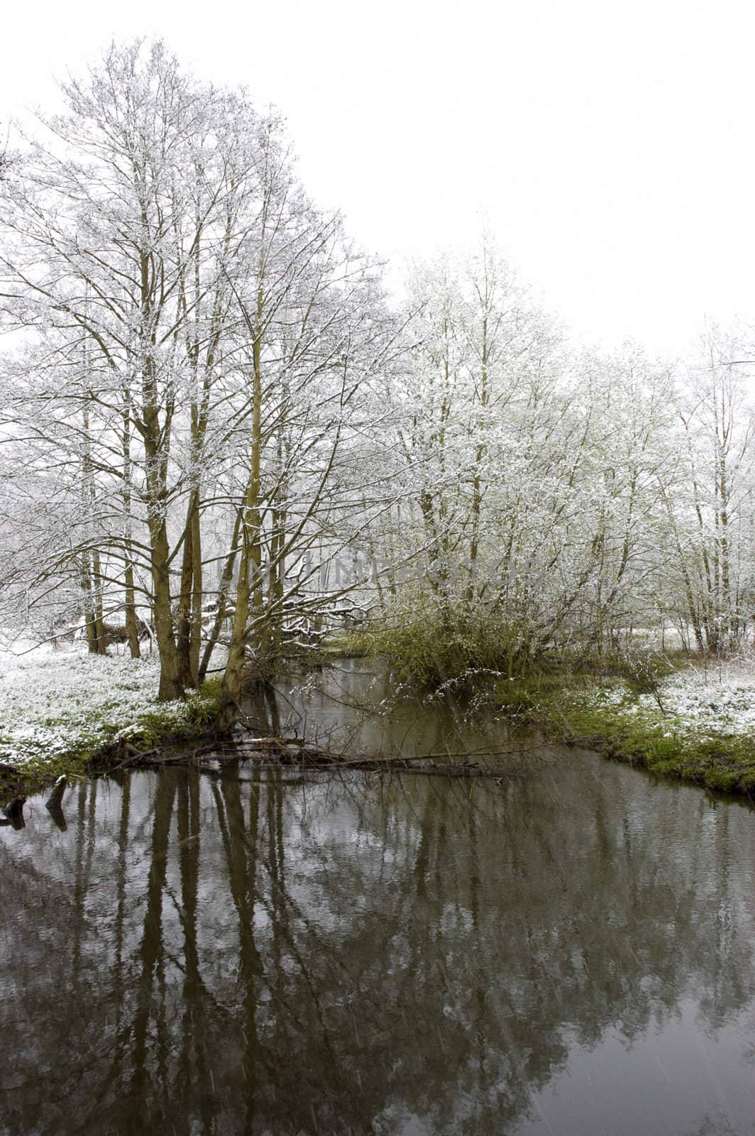 A view looking up a stream with snow on the trees