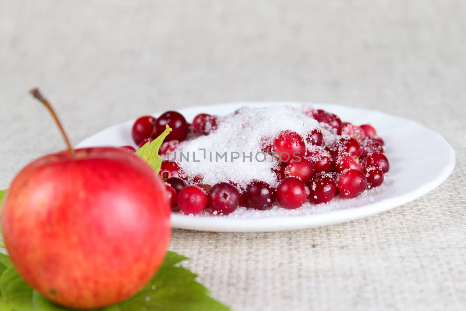 Plate of a cowberry sprinkled with sugar removed close up against a linen napkin