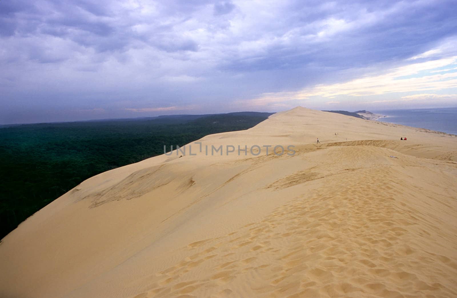 La Dune du Pyla is one of France's most unusual attractions. This man made sand due is the largest in Europe.