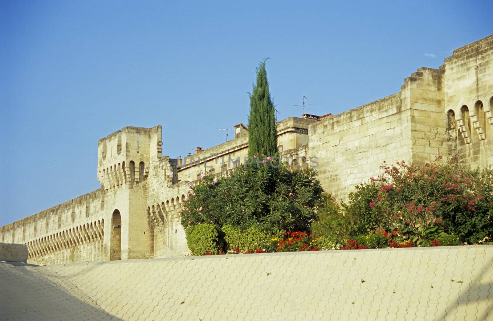 The ancient stone city wall of Avignon, France with a garden in front.