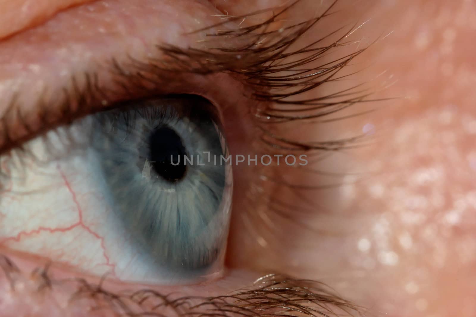 A blue eye with a window view reflection in it.
