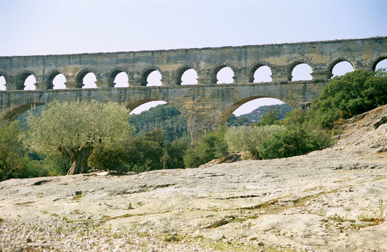 Remains of the Roman aqueduct, Pont Du Gard, near Nimes, France with an ancient olive tree.