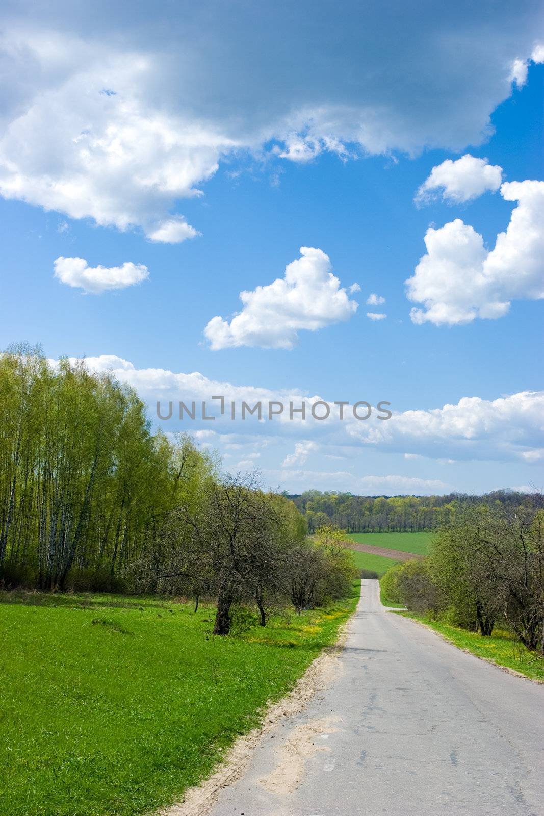 Spring landscape by naumoid