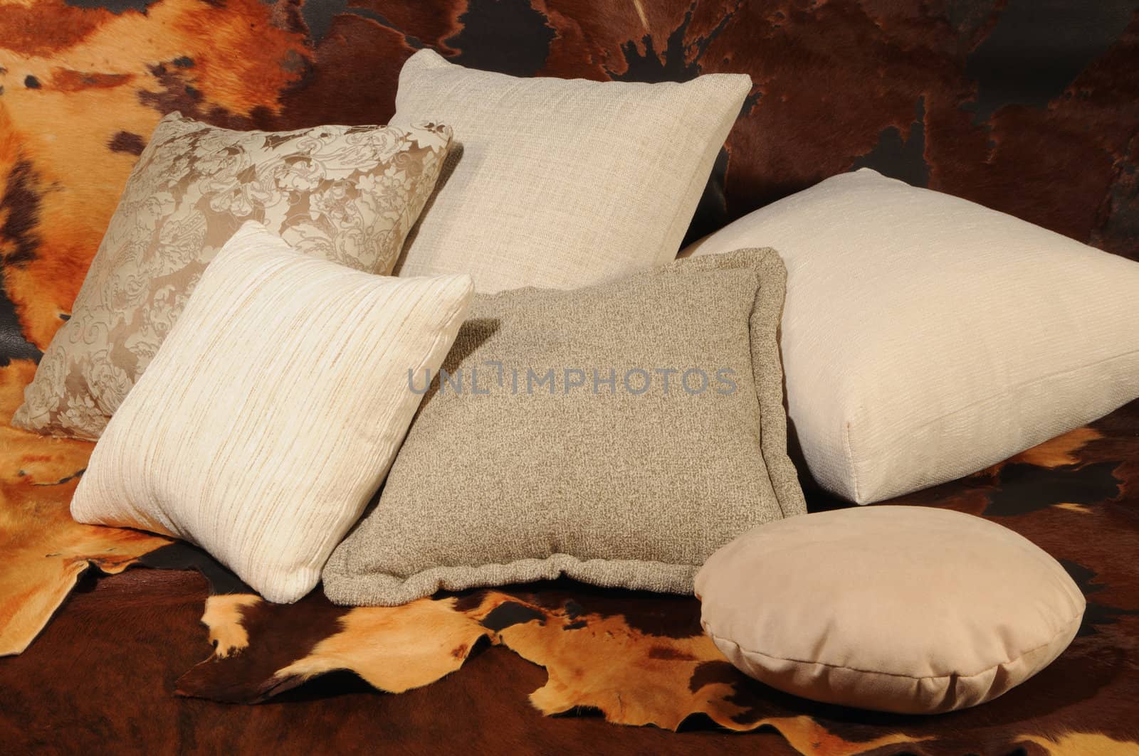 Cushions by dyoma
