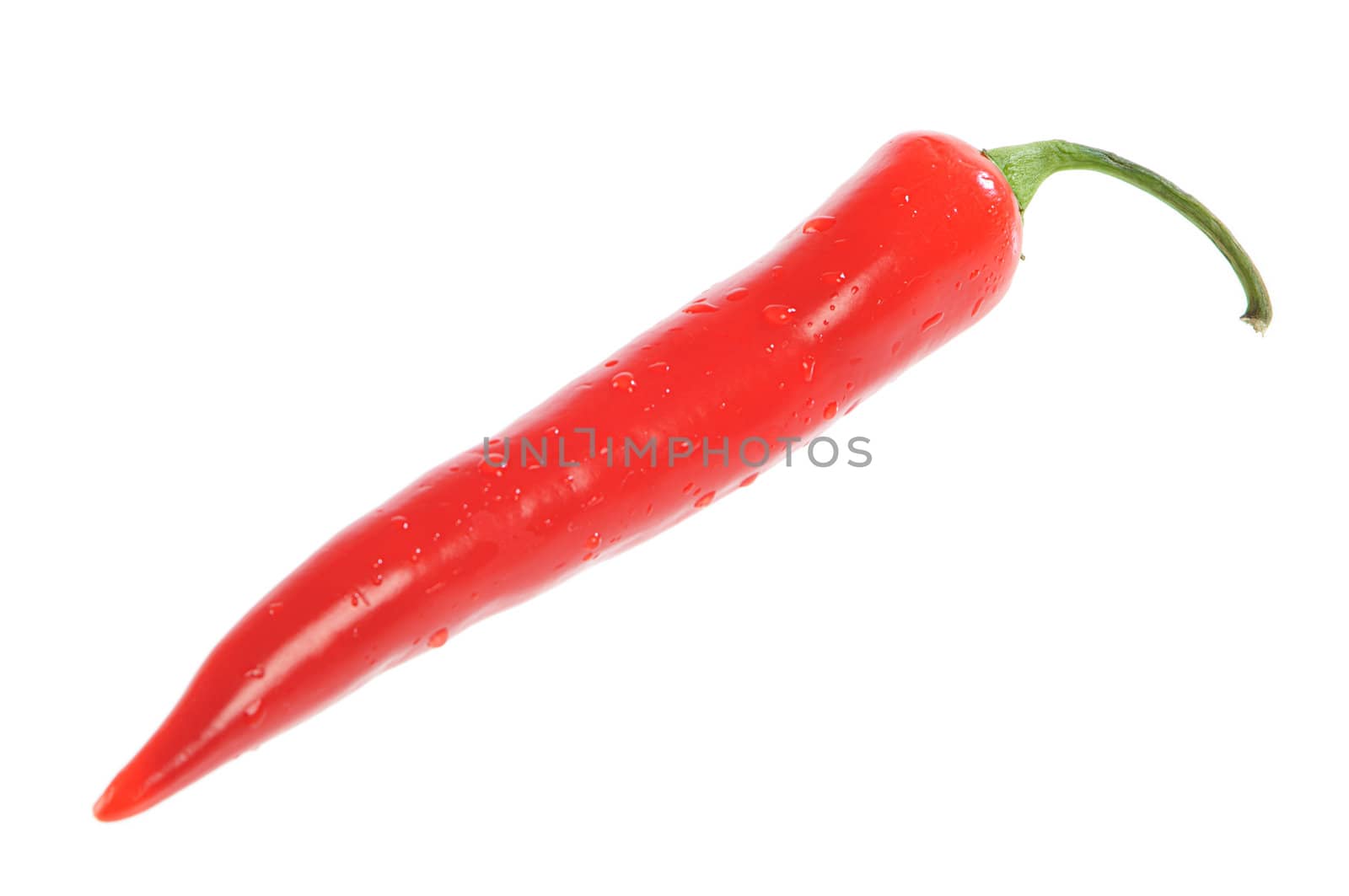 red hot pepper by dyoma