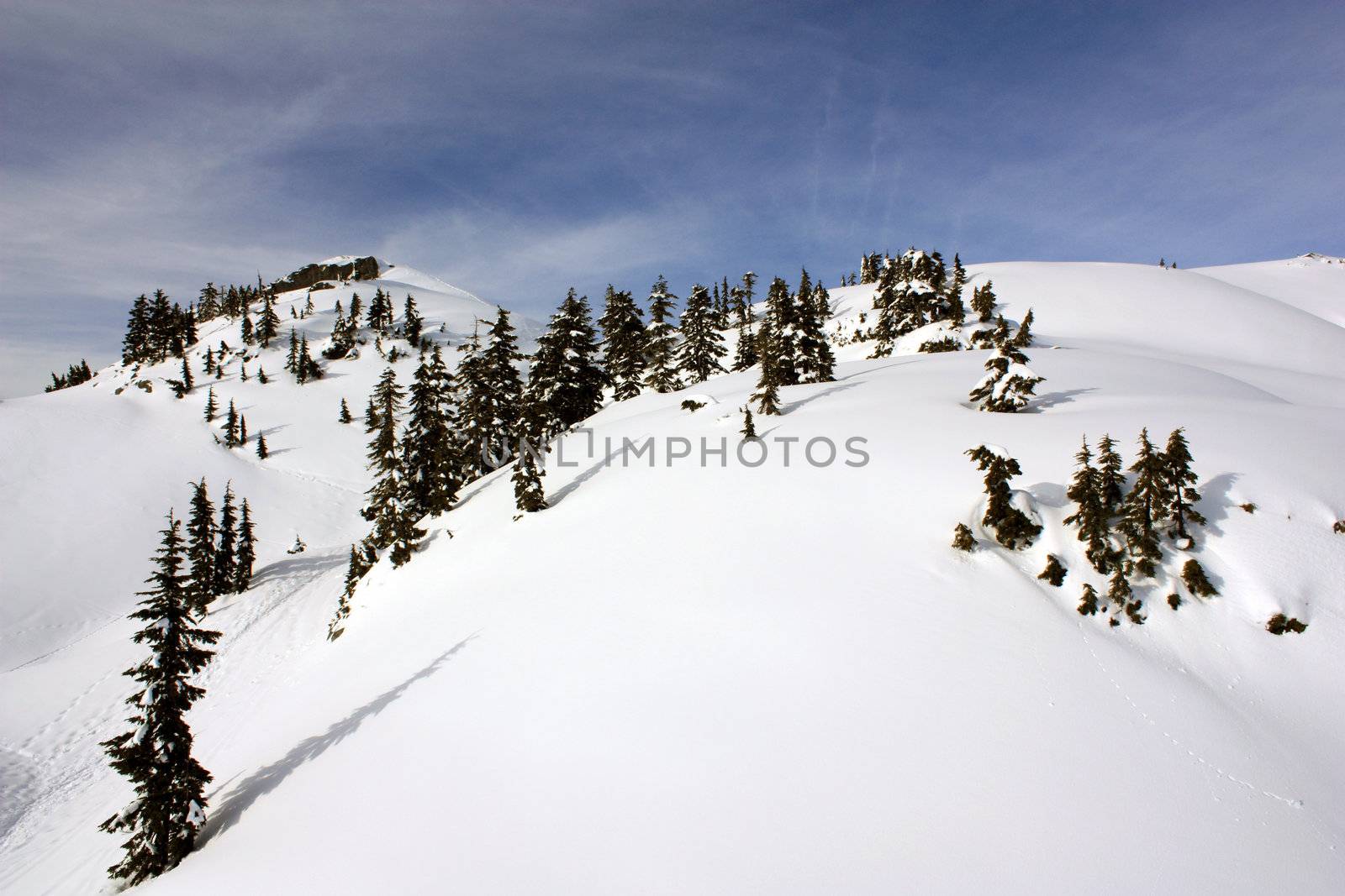 Winter Landscape by mmgphoto