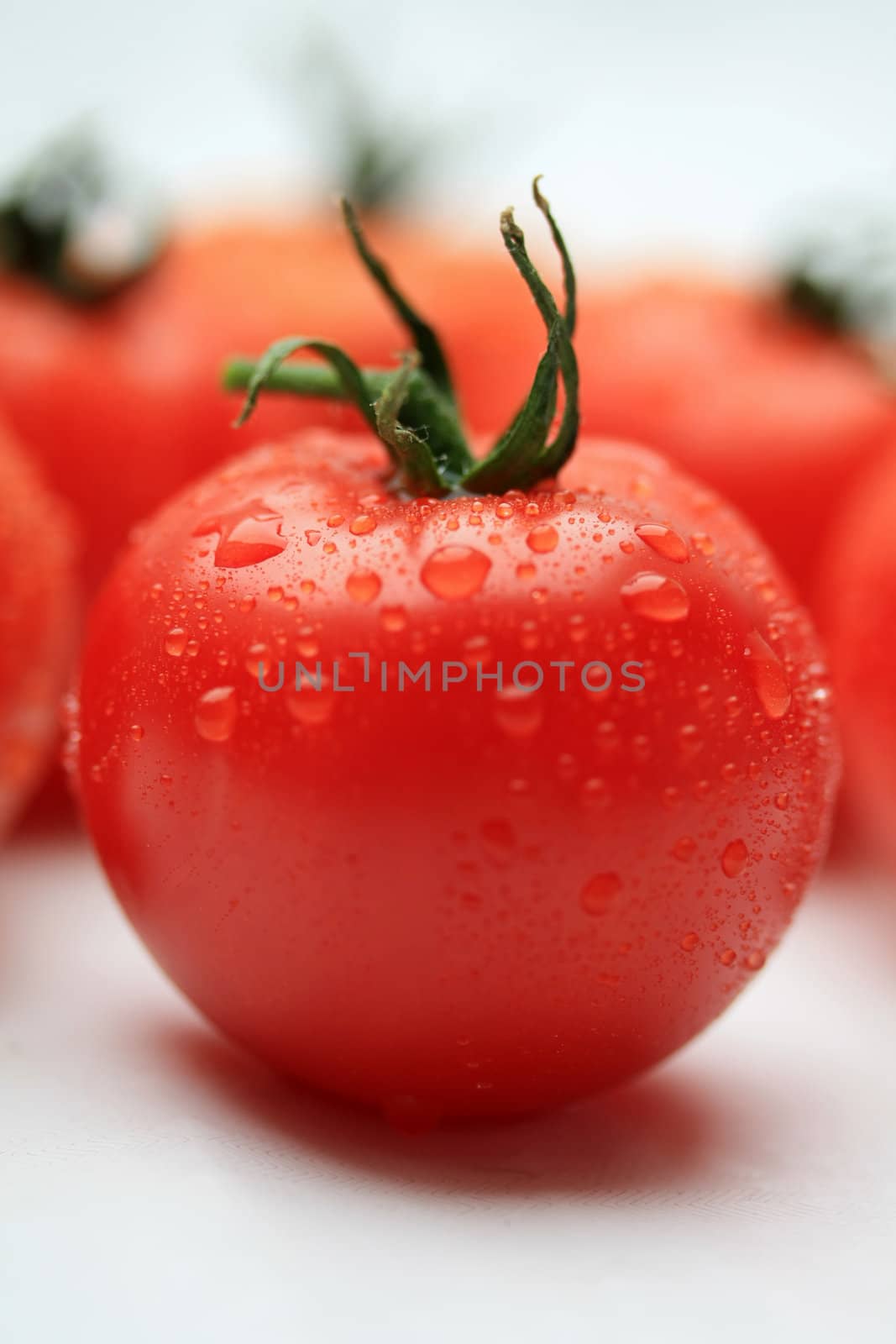 A tomato with waterdrops in front of a group of tomatoes