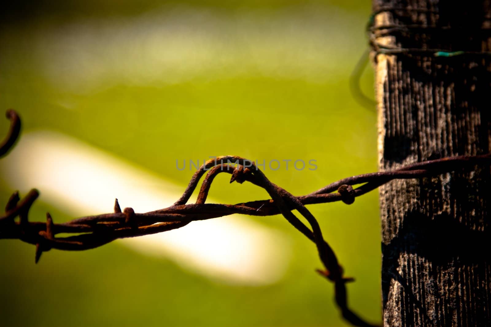Macro of rusty old barbed wire twisted on weathered wooden post