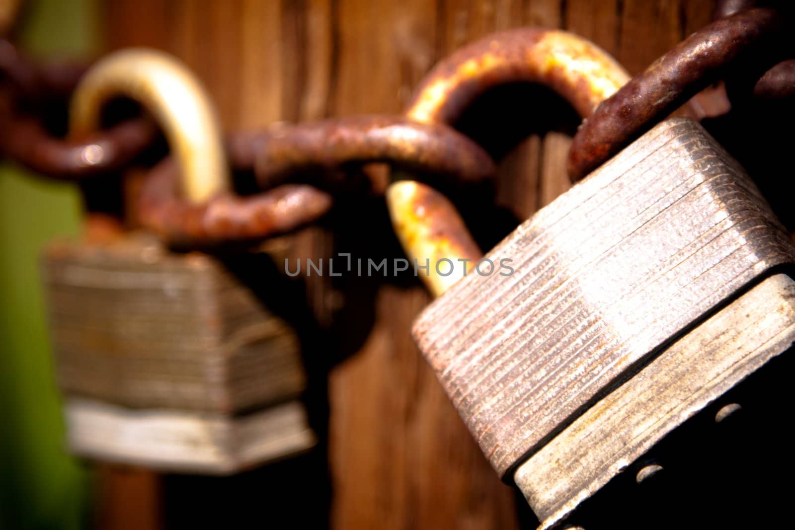 Close-up of rusty locks and chain against a weathered wooden post, focus on left lock base