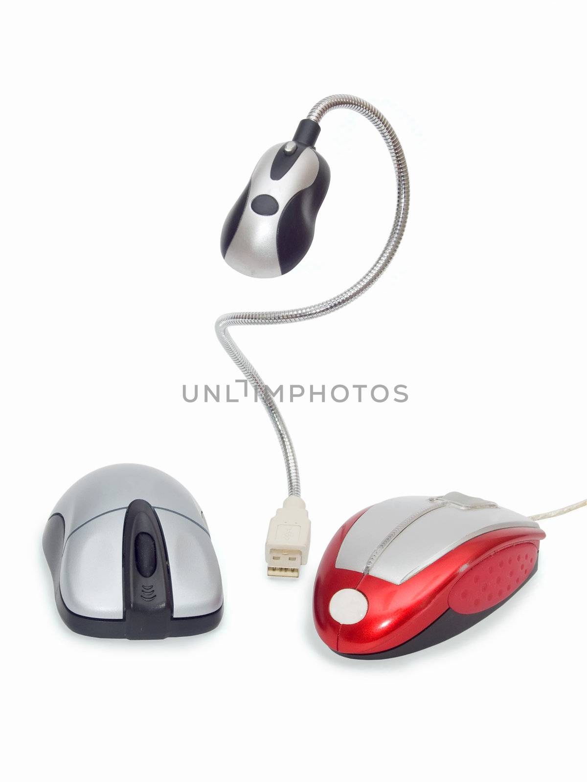 mouse for computer on white background