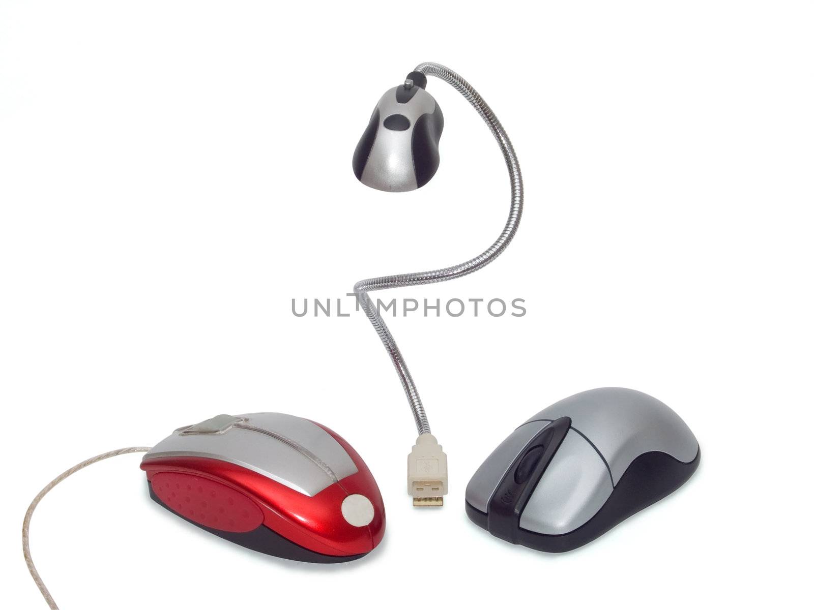 mouse for computer on white background