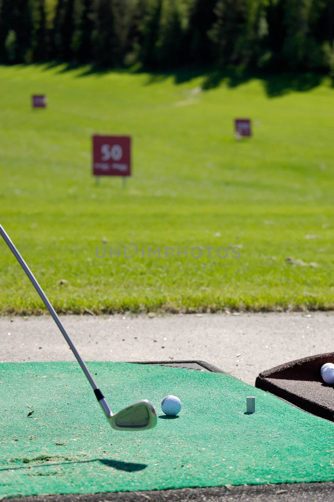 Golfclub at the ready to strike a golf ball
