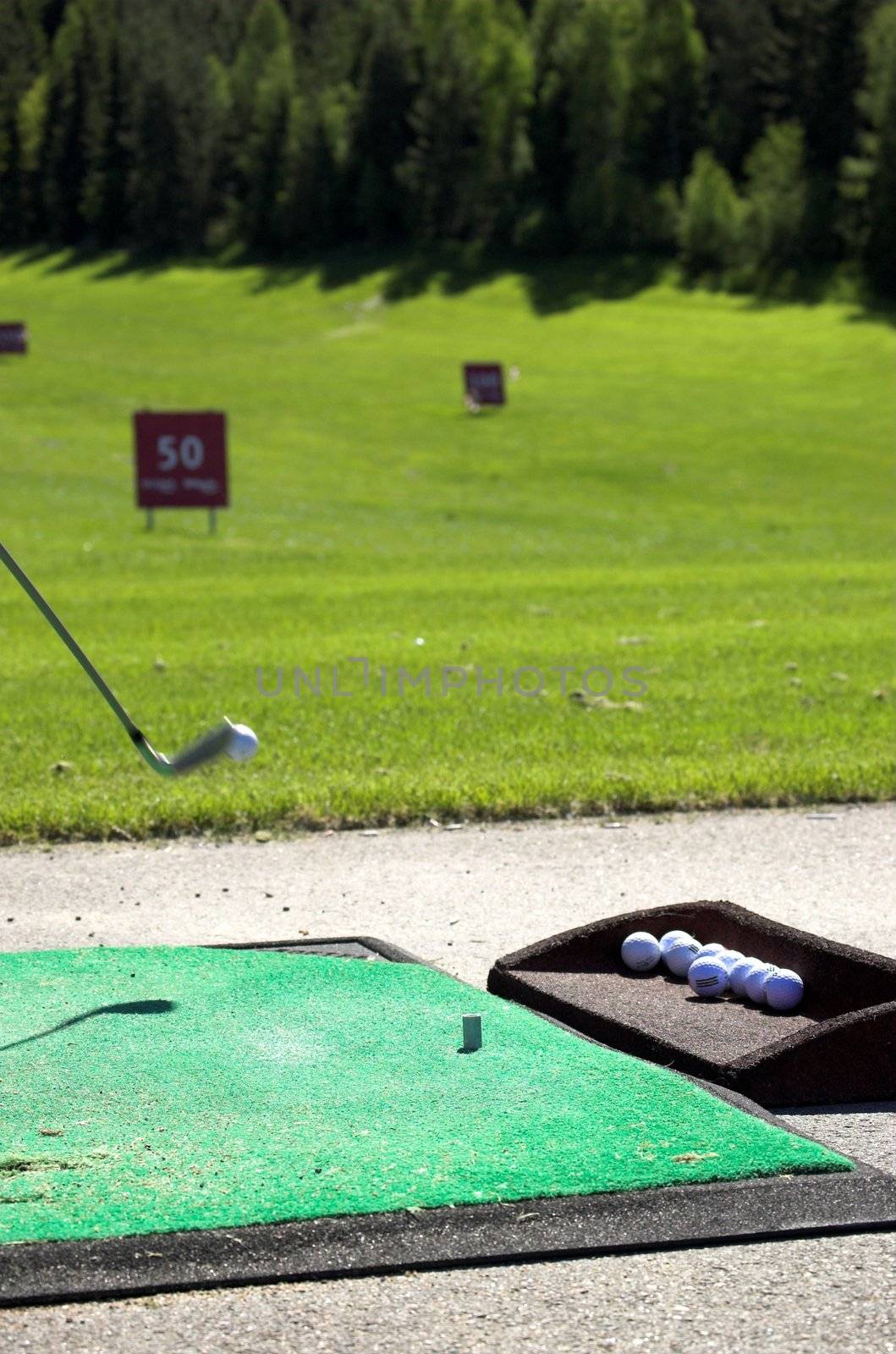 An airborne golf ball just being hit by the club
