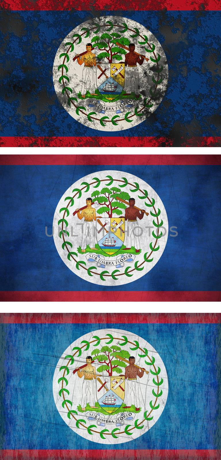 Great Image of the Flag of Belize