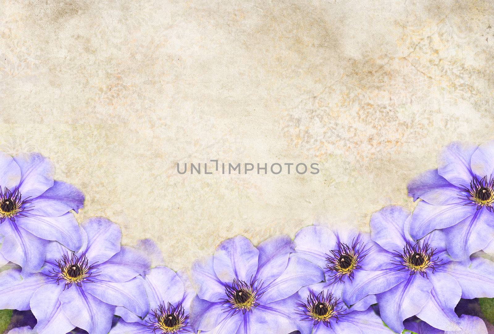 Floral Background by StephanieFrey