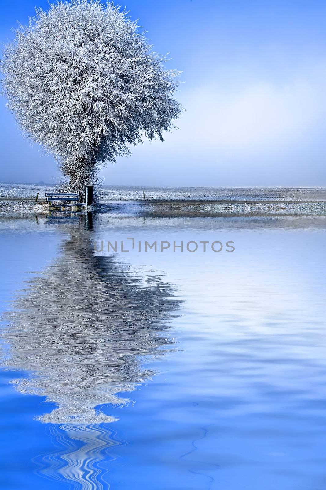 Winter landscape a single tree by DNFStyle