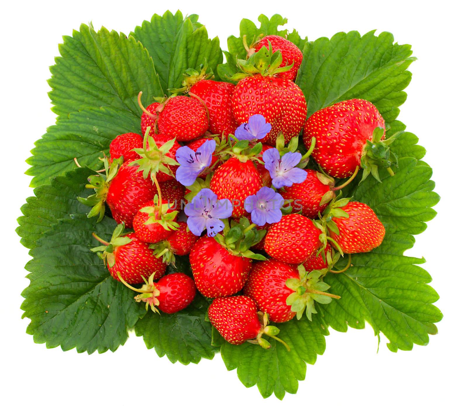 strawberries with flower on leafs by Alekcey