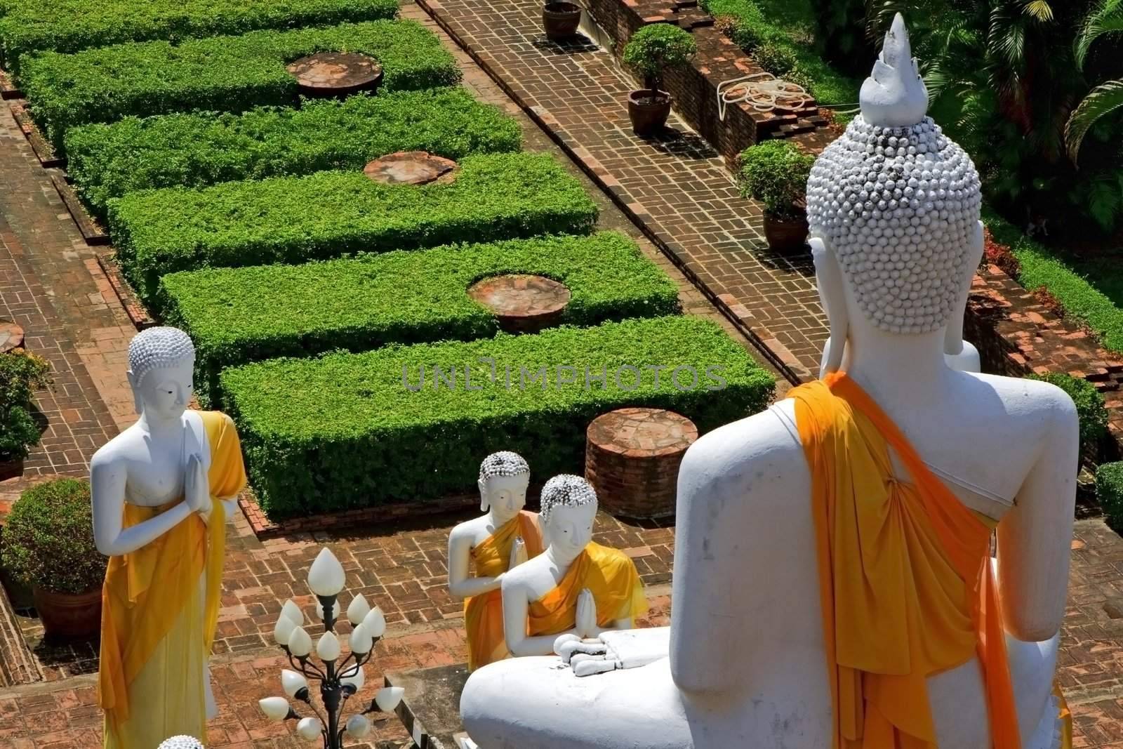 Statues of Buddha in Ayutthaya, Thailand