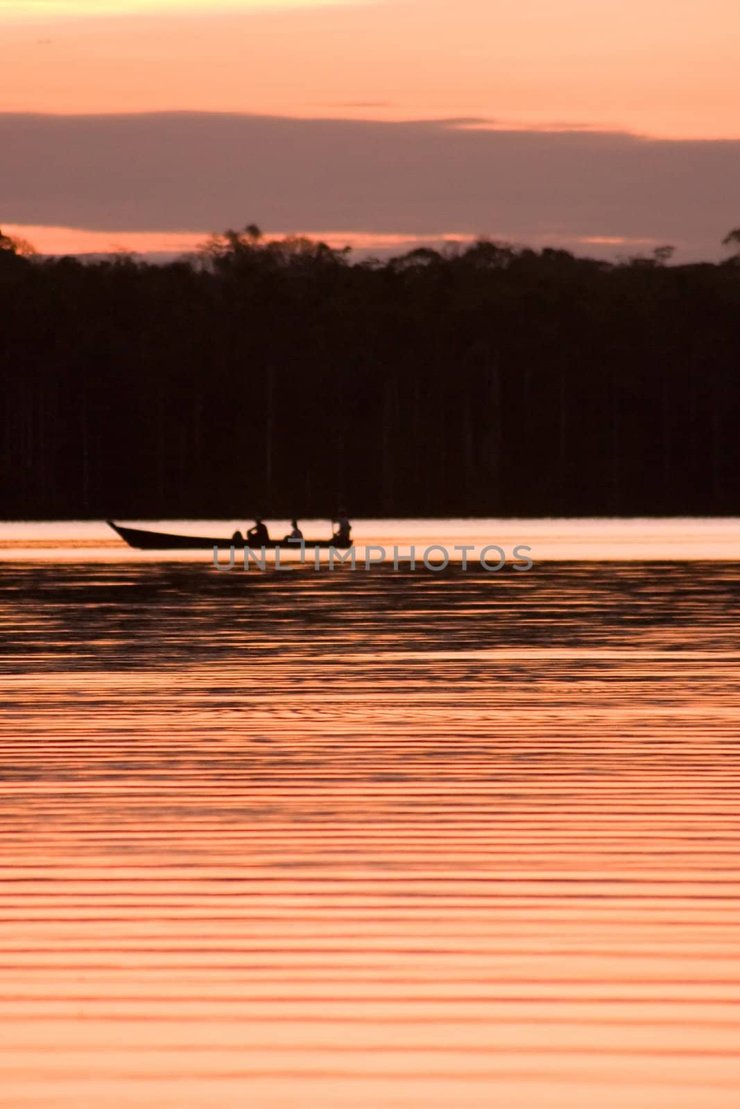 Lake Sandoval is located Tambopata-Candamo which is a nature reserve in the Peruvian Amazon Basin south of the Madre de Dios River