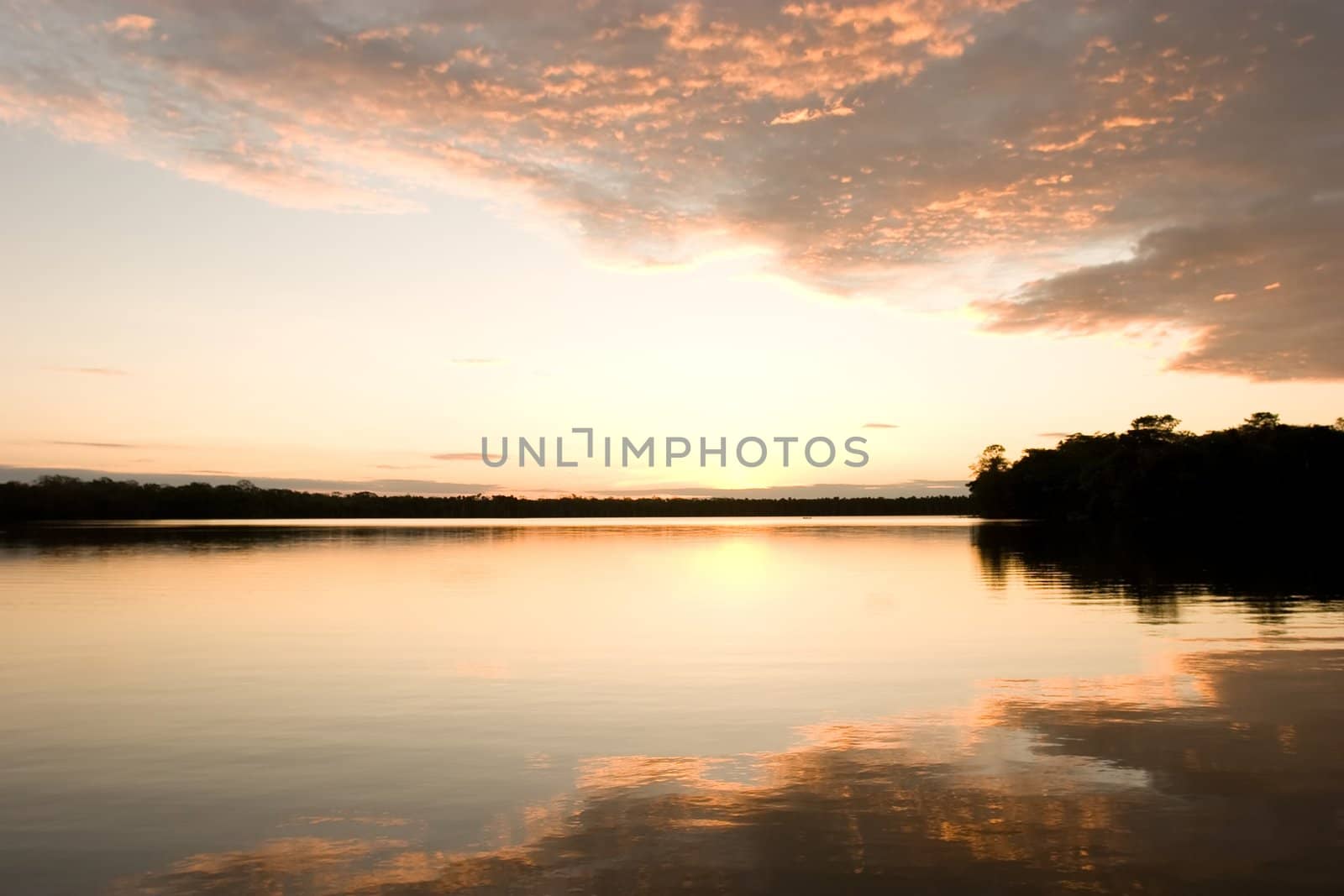 Lake Sandoval is located Tambopata-Candamo which is a nature reserve in the Peruvian Amazon Basin south of the Madre de Dios River