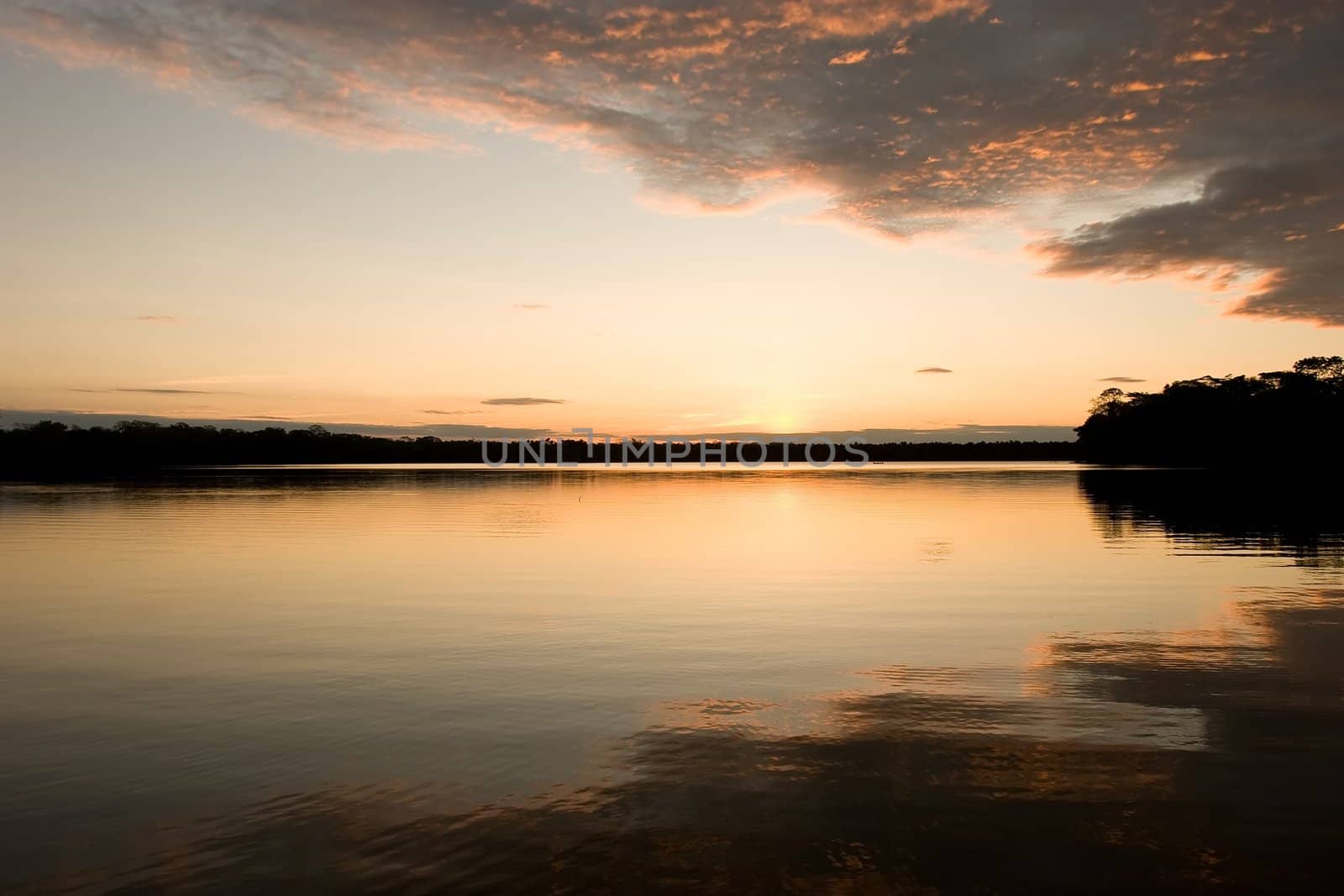 Lake Sandoval is located Tambopata-Candamo which is a nature reserve in the Peruvian Amazon Basin south of the Madre de Dios River