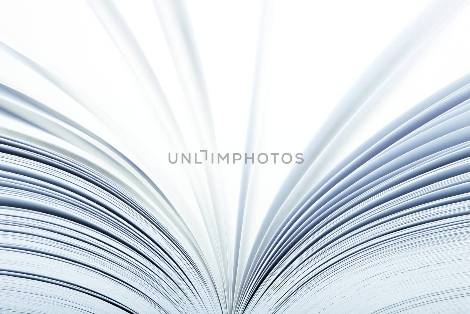Macro of a open book with pages turning- selective focus