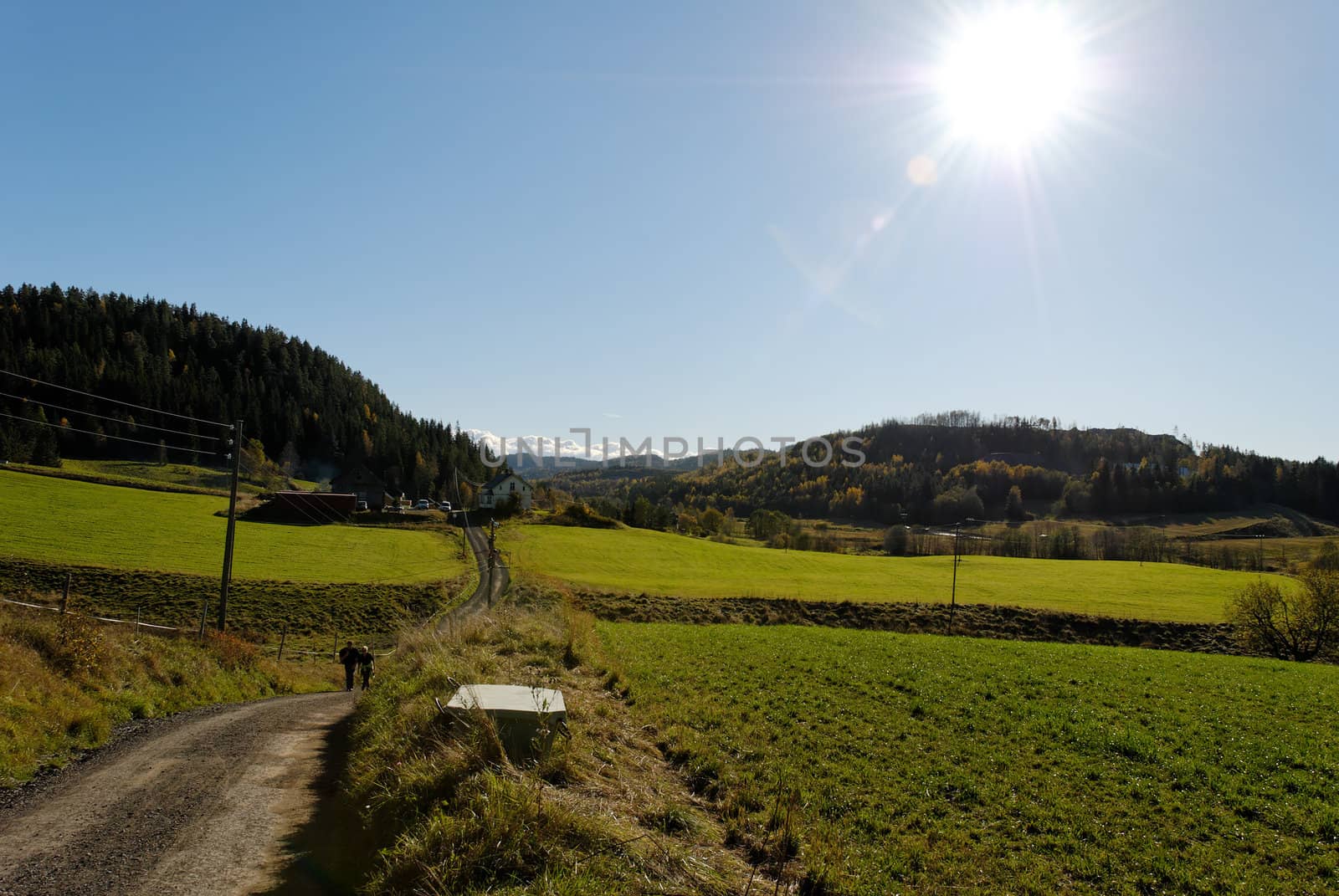 A road leading into distance through fields in Norway.
