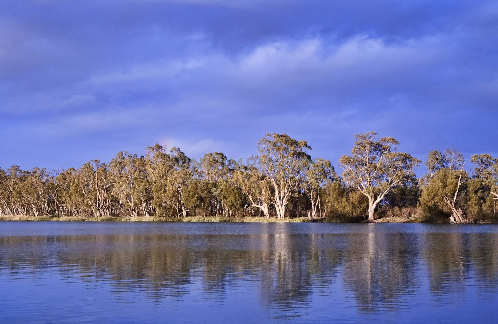 river murray south australia by clearviewstock