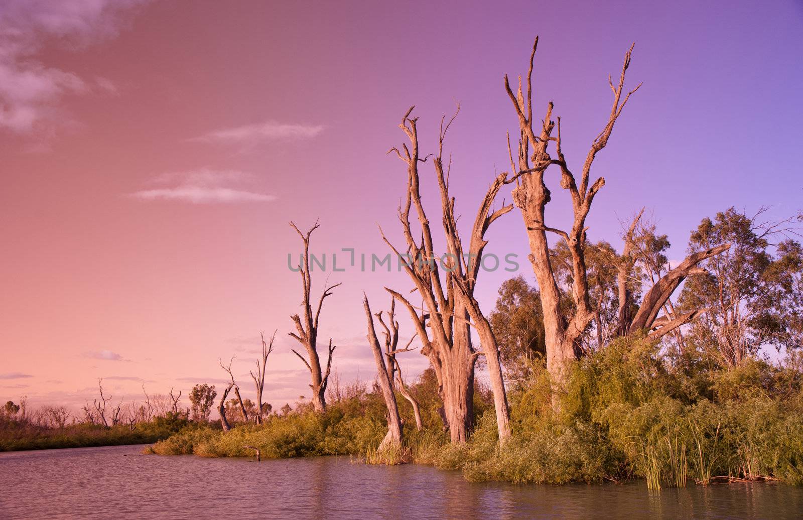 beautiful image of sunset on the river murray south australia