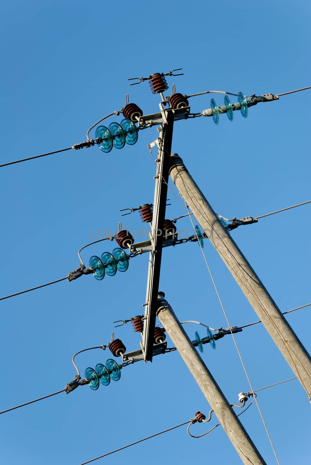 Three power lines, fixed horizontally on a tree pylon. The composition is tilted, so the fixture is vertical
