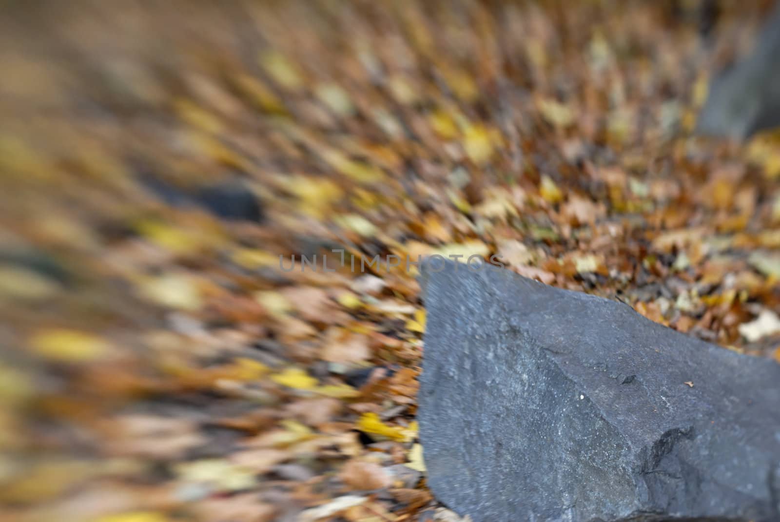 A rock in the lower right corner, with autumn leaves leading to it. The blur effect is achieved in-camera using a Lensbaby.
